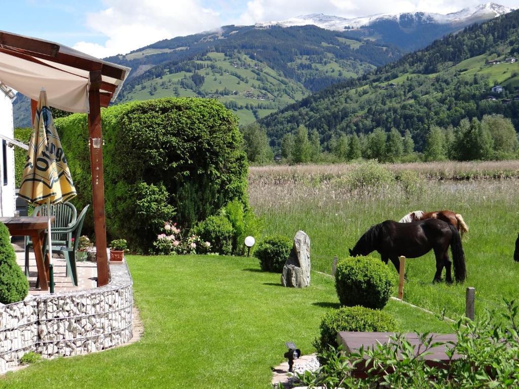 Appartement Plattner Zell am See Exterior foto